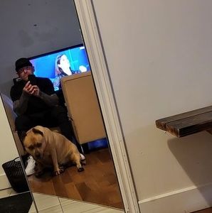 Meet your Posher, Homer